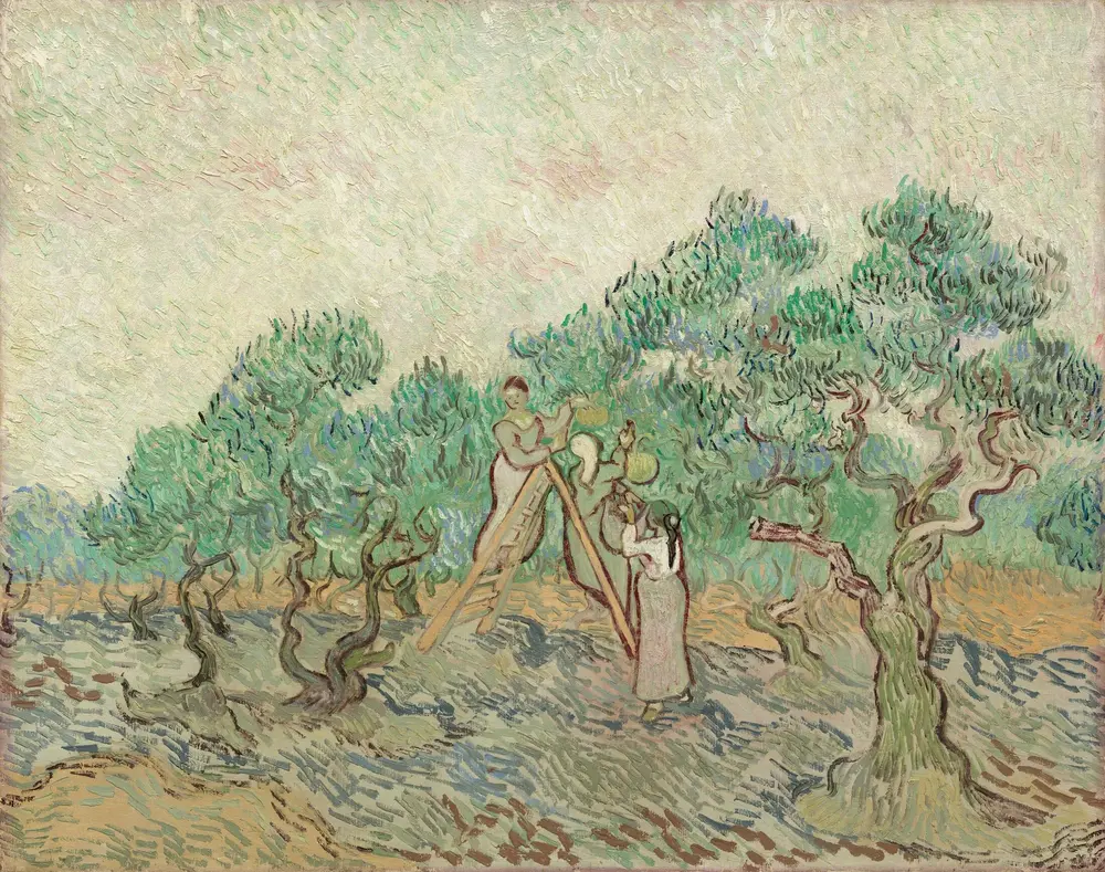 The Olive Orchard — Винсент Ван Гог