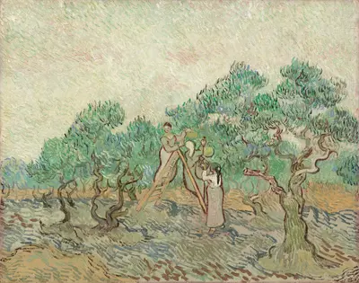The Olive Orchard — Винсент Ван Гог